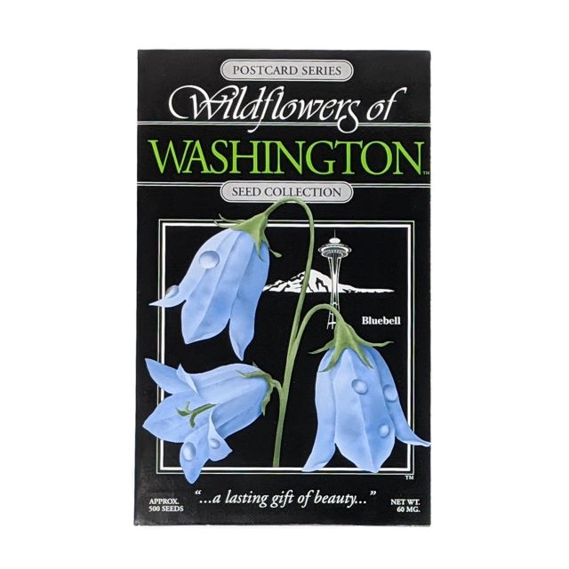 Wildflowers Seed Postcard - Bluebells