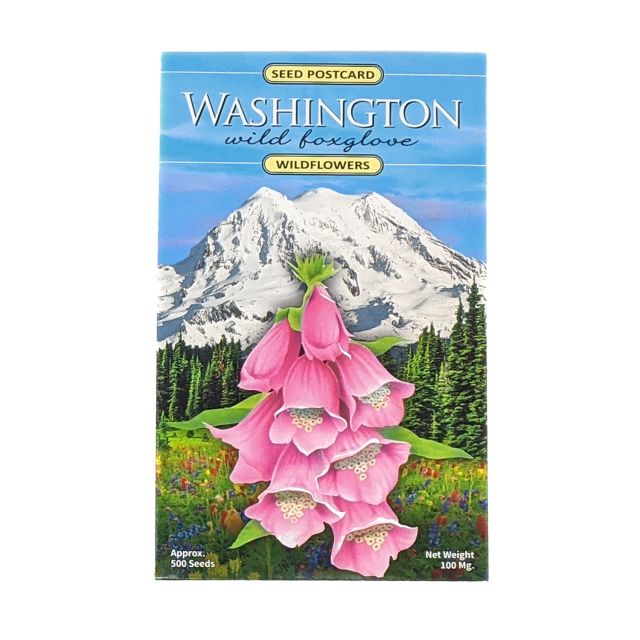 Wildflowers Seed Postcard - Wild Foxglove